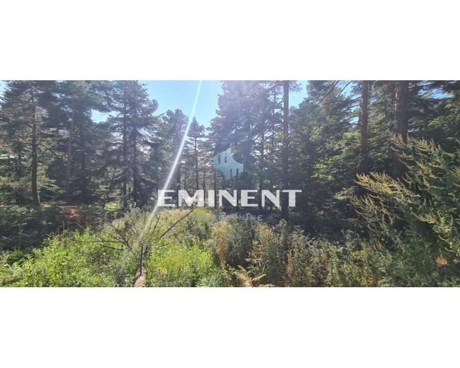 izdavanje stanova beograd