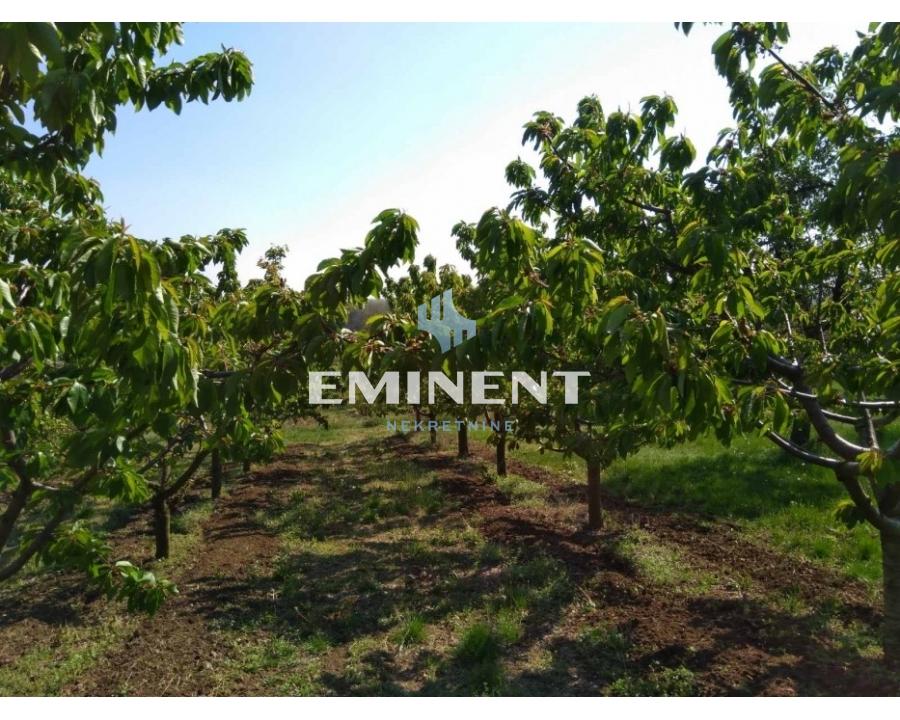 izdavanje stanova beograd