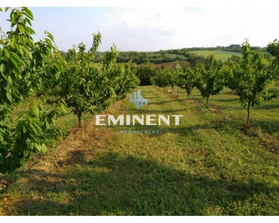 izdavanje stanova beograd