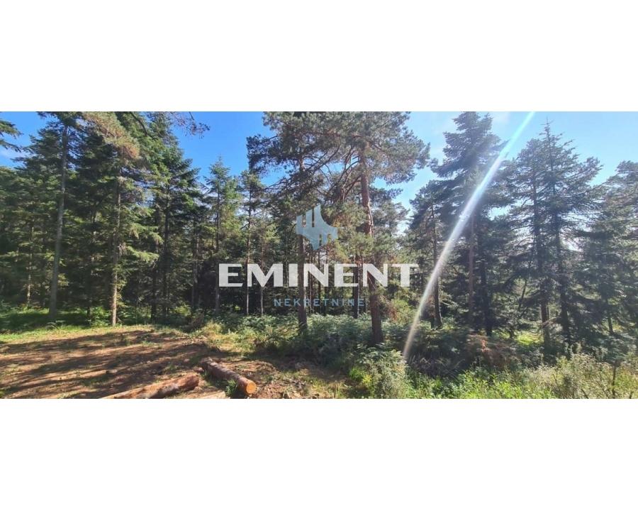 prodaja, stan, kuća, lokal, Divčibare