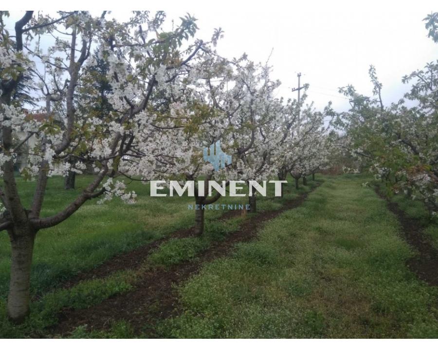 izdavanje stanova beograd